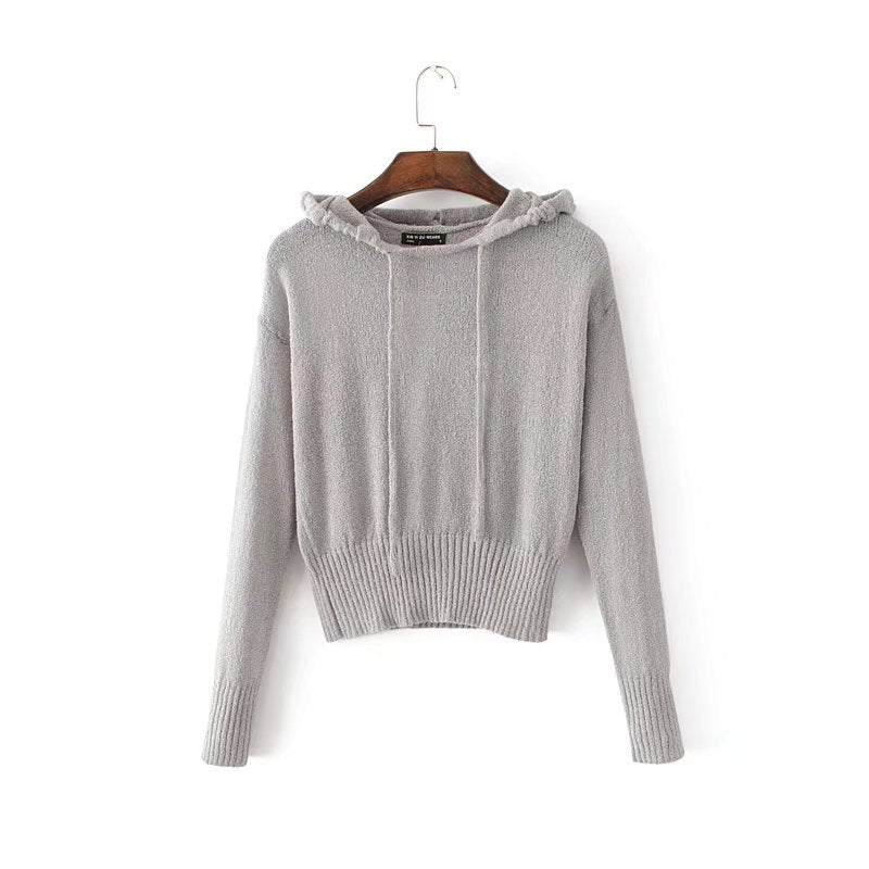Autumn Knitted Hooded Sweater Women Casual winter Knitting Hooded Grey Pullovers Ladies Long Sleeve Loose knitted Tops