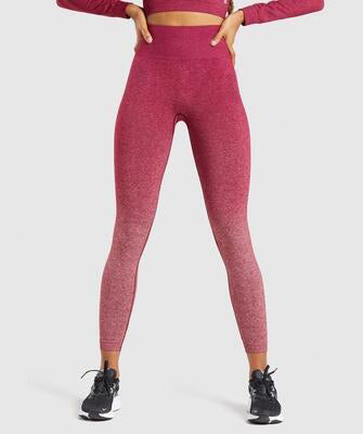 Women Gym Yoga Seamless Pants Sports Clothes - ladieskits