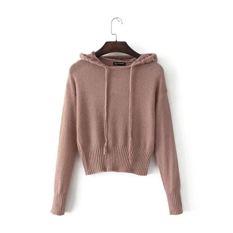 Autumn Knitted Hooded Sweater Women Casual winter Knitting Hooded Grey Pullovers Ladies Long Sleeve Loose knitted Tops