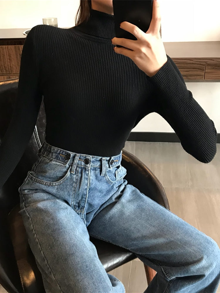 2022 Autumn Winter Thick Sweater Women Knitted Ribbed Pullover Sweater Long Sleeve Turtleneck Slim Jumper Soft Warm Pull Femme - ladieskits - sweater