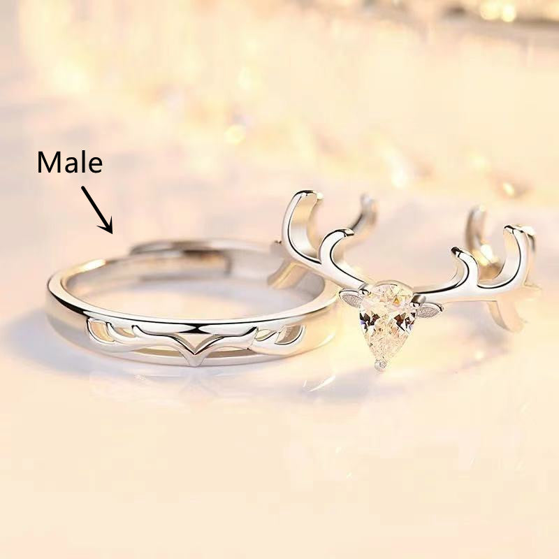 Silver Plated Couple Rings A Pair Of European And American Diamond Rings - ladieskits - 0
